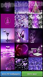 lovely purple hd wallpapers