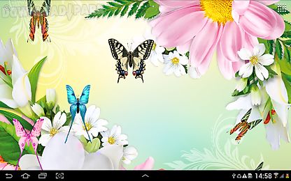 butterflies live wallpaper