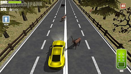 road kill 3d racing