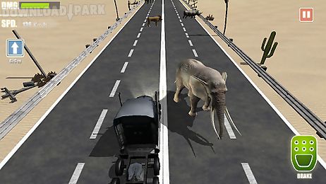 road kill 3d racing