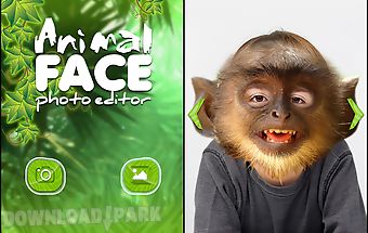 Animal face photo montage
