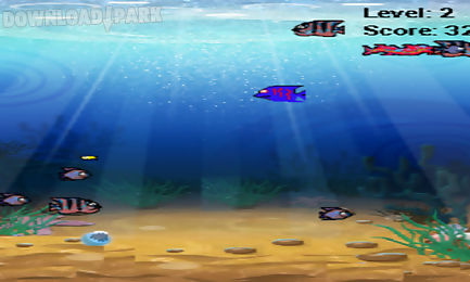 fish hunting for android
