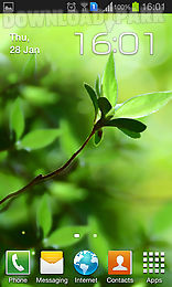 spring buds