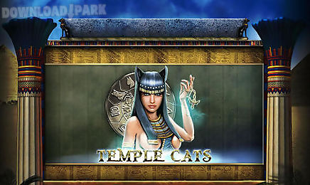 temple cats: slot