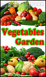vegetables garden