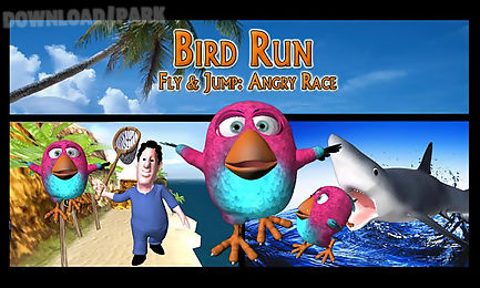 bird run, fly&jump: angry race