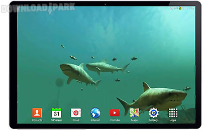 tiger sharks 3d live wallpaper