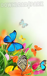 butterfly live wallpaper