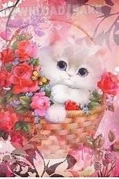 cat in floral basket live wall