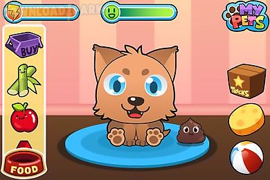 my virtual pet - cats and dogs