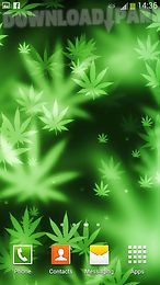 weed live wallpaper
