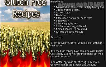 Gluten free recipes 1000