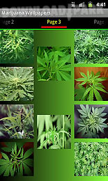 weed wallpapers and pictures