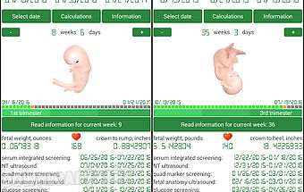 Pregnancy calculator+calendar