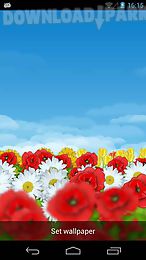 flower field live wallpaper