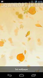 leaves 3d live wallpaper