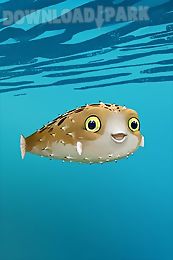 blowfish - live wallpaper