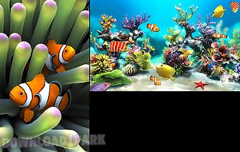 Sim aquarium live wallpaper