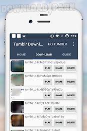video downloader for tumblr