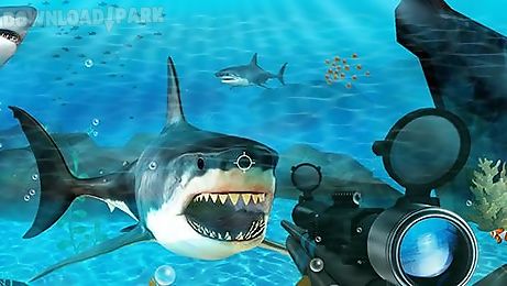 hungry shark hunting