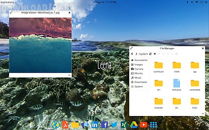 leena desktop ui (multiwindow)