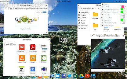 leena desktop ui (multiwindow)