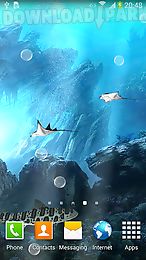 3d sharks live wallpaper lite