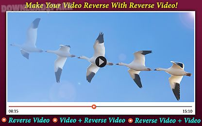 reverse video