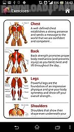 dumbbell muscle workout plan t