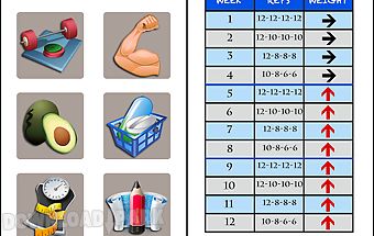 Dumbbell muscle workout plan t
