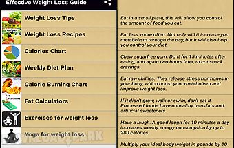Effective weight loss guide