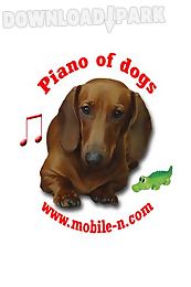 piano of dogs
