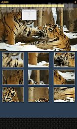 animal picture puzzle