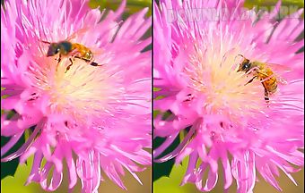 Bee on a clover flower 3d