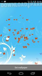 butterflies live 3d wallpaper 