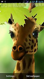 giraffe hd