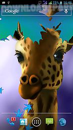 giraffe hd