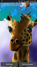 giraffe hd