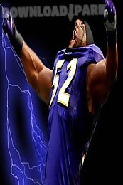 ray lewis live wallpaper