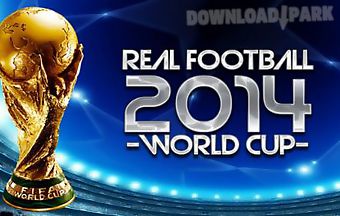 Real football 2014: world cup