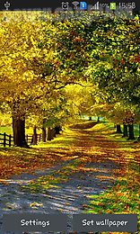 autumn by best wallpapers