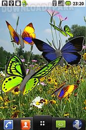 butterfly animated color lwp!