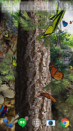 butterflies 3d live wallpaper