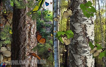 Butterflies 3d live wallpaper