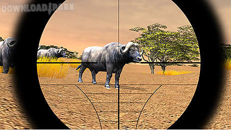 safari hunting 4x4