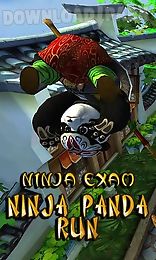 ninja panda run: ninja exam