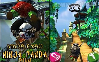 Ninja panda run: ninja exam