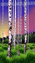 birch wood landscape