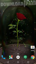 enchanted rose 3d