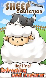 baw wow sheep collection
